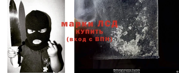 стаф Баксан
