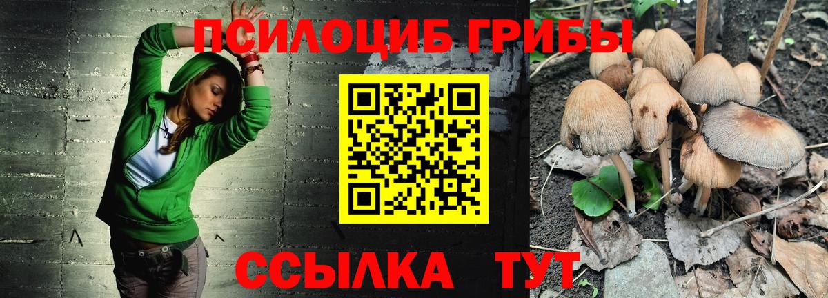 что такое   Белово  Псилоцибиновые грибы мицелий 