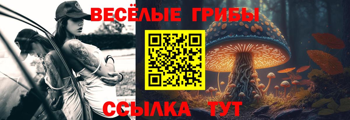 Галлюциногенные грибы Magic Shrooms Белово