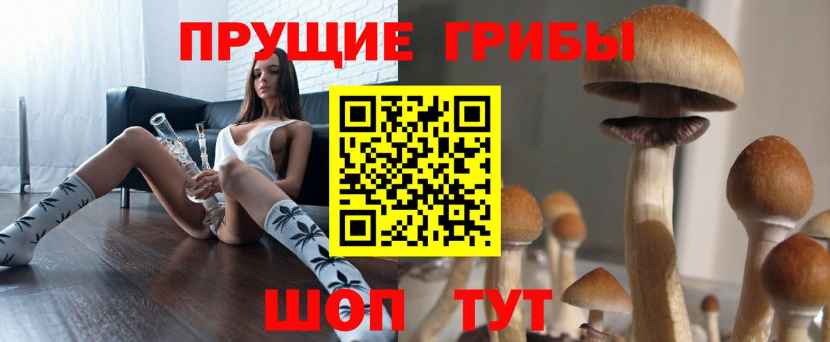 Белово  Псилоцибиновые грибы мухоморы  Вход с VPN 